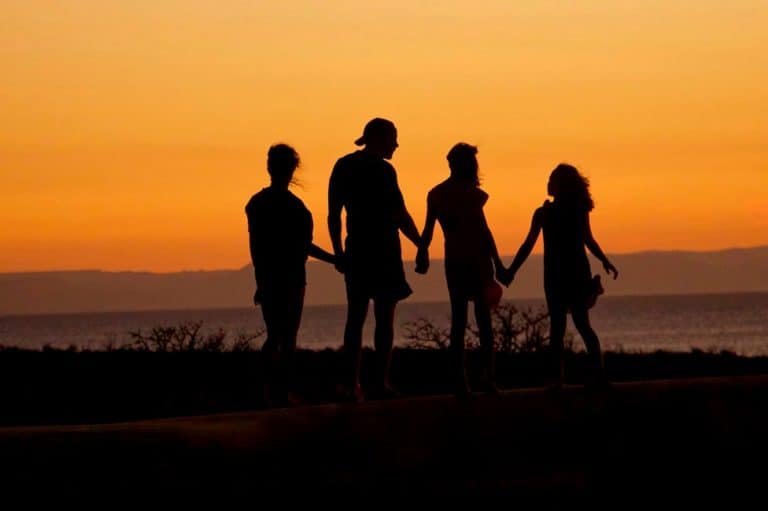 silhouette of family holding hands walking next to beach