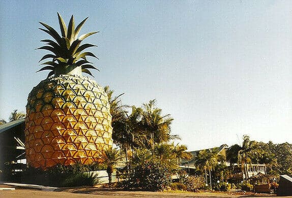 photo of the big pinapple, sunshine coast